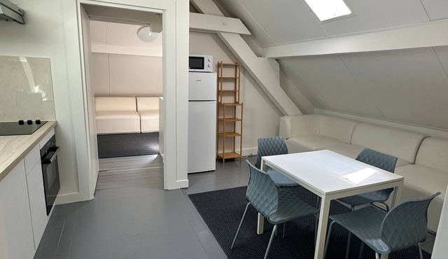 Beautiful penthouse apartment in Geneva Veyrier Salève