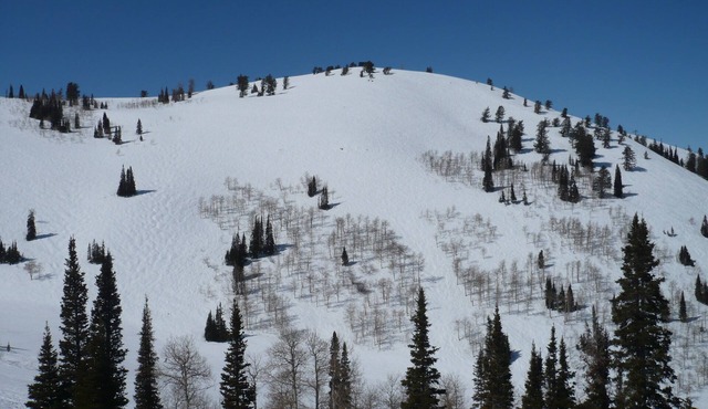 Beautiful Powder Ridge Resort (Ski In /Ski Out) Best Value In Utah!