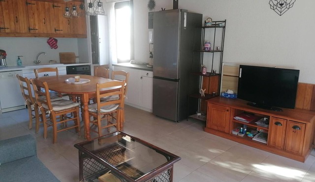 Beautiful Pra-Loup apartment 6 ppl, terrace, skis