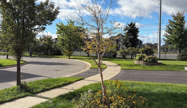 Beautiful Priv. bsmt 2B 1Bath apartment w/parking