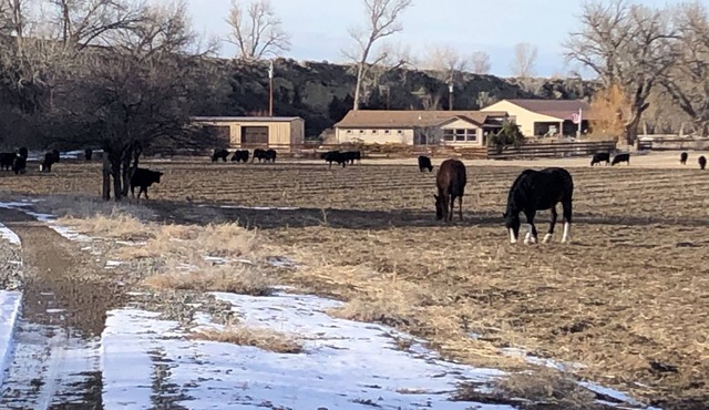 Beautiful private Big Horn River Ranch House