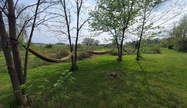 Beautiful private meadow