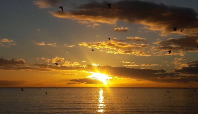 Beautiful Private Oceanfront Casita with stunning Ocean and Mountain Views