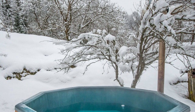 Beautiful private villa for 4 guests with WIFI, hot tub, TV, terrace, pets allowed and parking