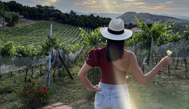 Beautiful Private Vineyard and Winery Estate Guest Living Quarters on 5-Acres