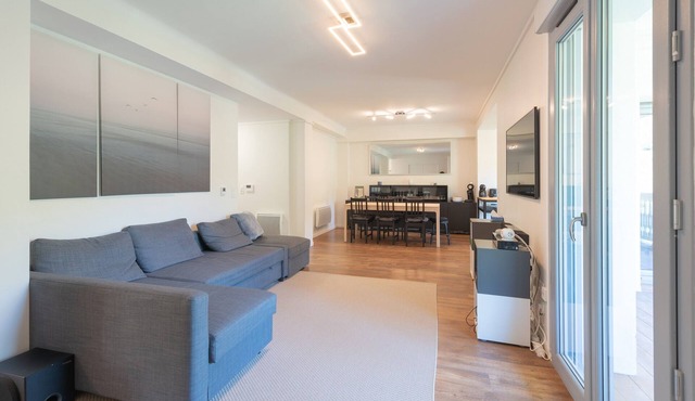 Beautiful renovated apartment in Bagnères-de-Bigorre, 7 guests, mountain view, terraces