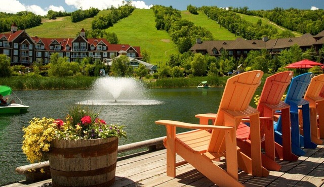 Beautiful Retreat nestled near Blue Mountain & SPA