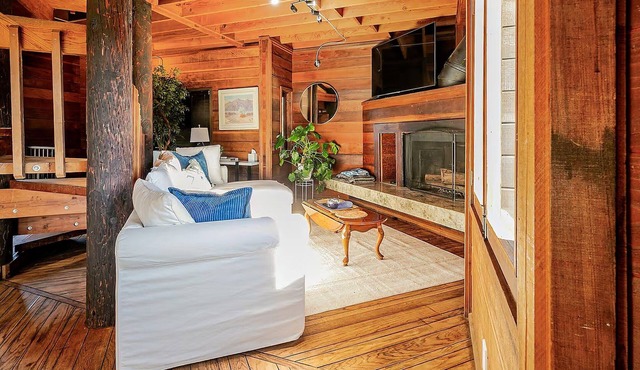 Beautiful Redwood Cabin, Hot Tub, 2 Fireplaces, 2 Masters, Theater 80" TV.