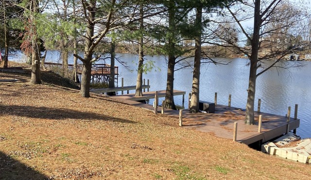 Beautiful Reelfoot Lake