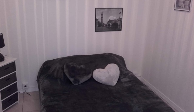 Beautiful refurbished apartment, 4 people. Close to all amenities Pau on foot