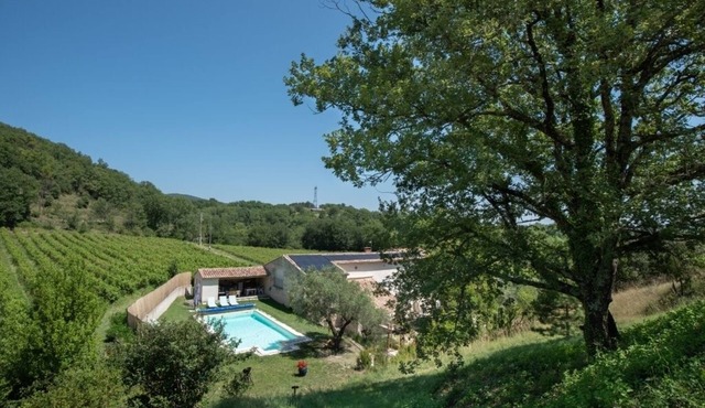 Beautiful renovated farm in calm countryside with salted water swimming pool