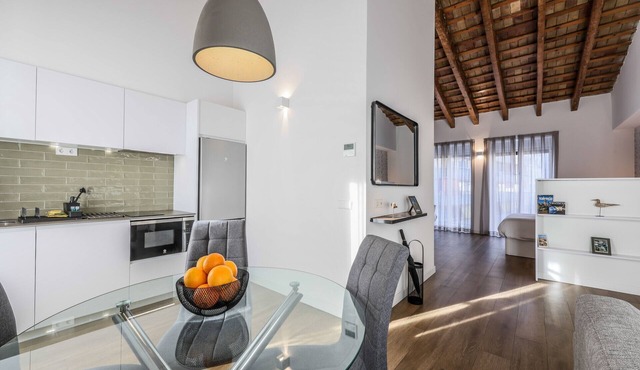 Beautiful renovated studio penthouse