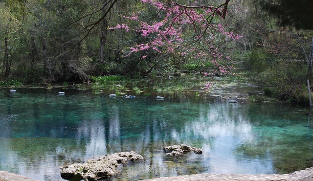 Beautiful river-front cabin overlooking the Upper Suwanee River