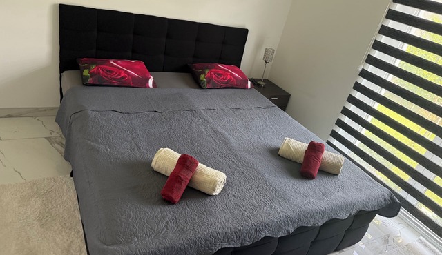 Beautiful room on garden level between vineyards and Colmar
