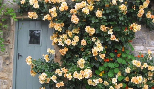 Beautiful rural setting in the Heart of the Peak District