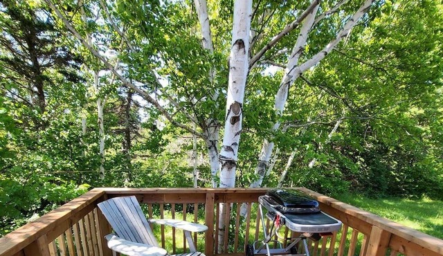 Beautiful Rustic Cabin 5 min to Beach!!