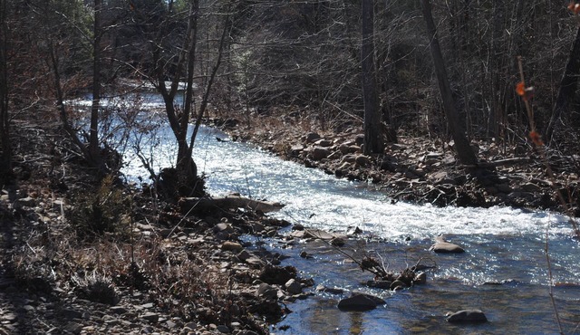 Beautiful secluded cottage with gated privacy.