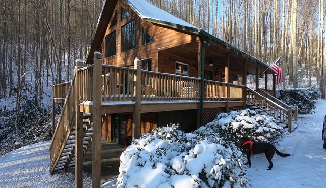 Beautiful secluded cabin on 40 private acres with stream for tubbing or fishing.