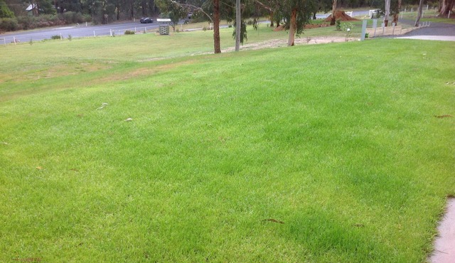 Beautiful setting in bushland