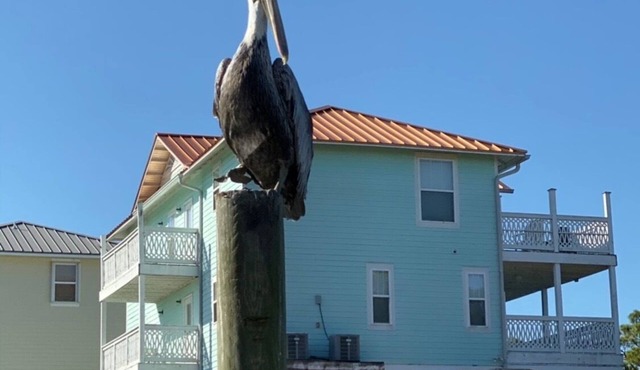 Beautiful Spacious Beach Home with available boat dock