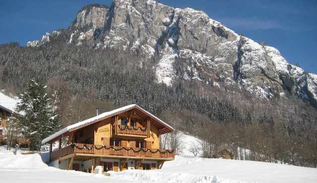Beautiful, spacious 12 person chalet, Portes du Soleil, France
