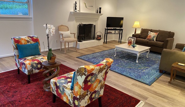 Beautiful Spacious 1BR in McLean