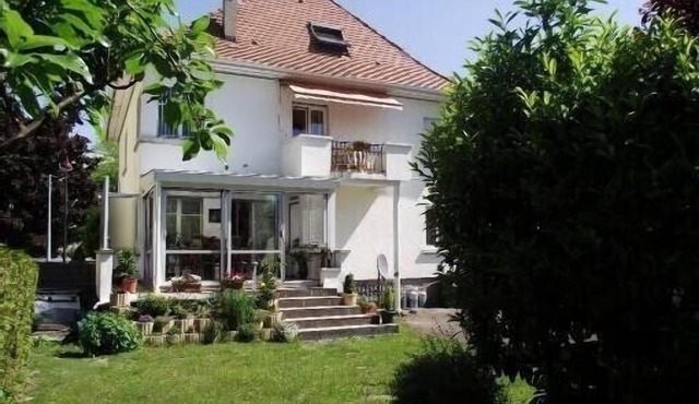 Beautiful spacious apartment in the heart of Alsace