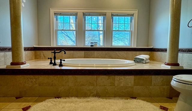 Beautiful spacious home, jacuzzi hot tub, 20 minutes from Downtown Chicago.