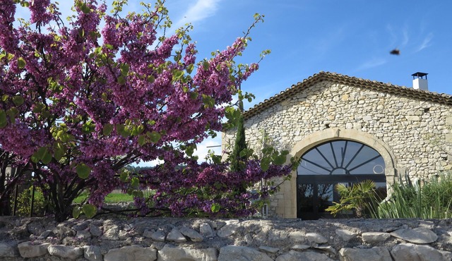 Beautiful stone mas swimming pool south of France air conditioned with large shaded terrace