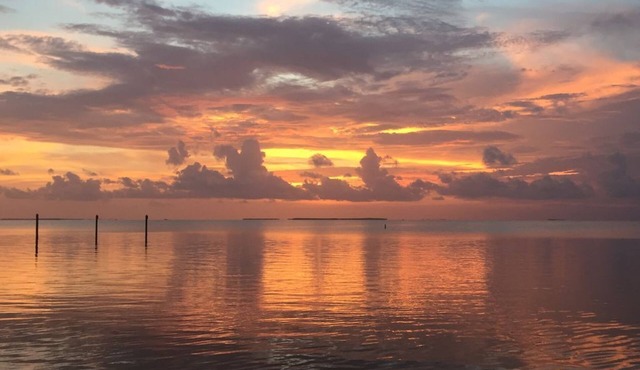 Beautiful Studio Apartment - Summer Sea Condo #230