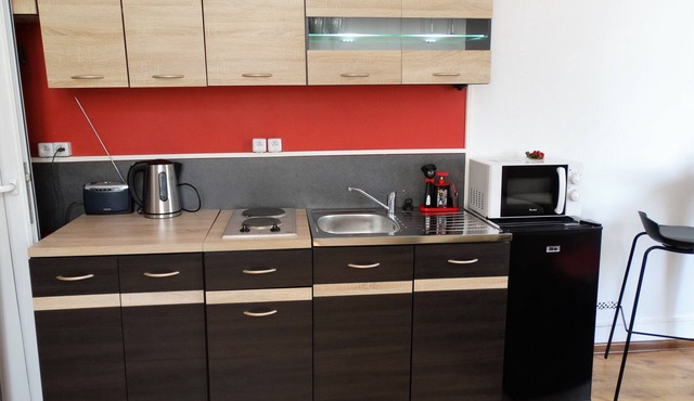 Beautiful studio between Chateau and Loire