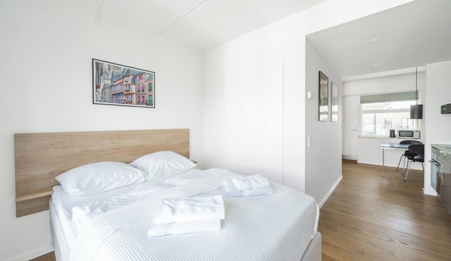 Beautiful studio with balcony - 327