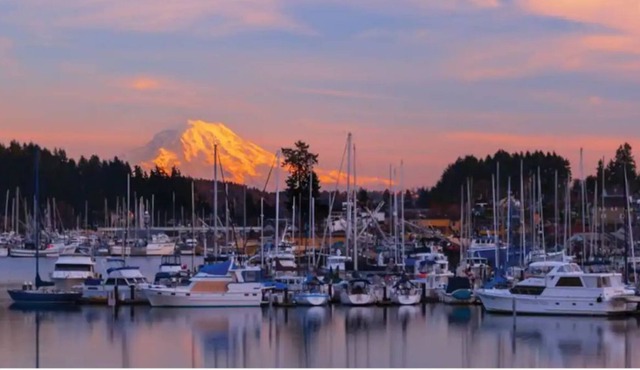 ✿Beautiful Suite Apartment NearDowntown Gigharbor✿