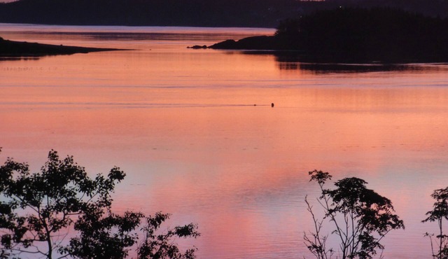Beautiful Sunrises over Campobello Island & Passamaquoddy Bay at Lupine Cottage