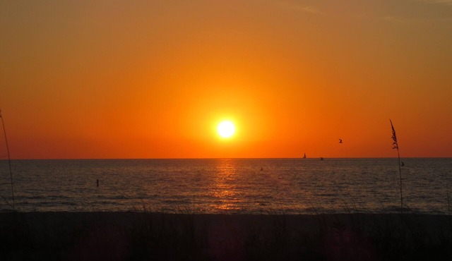 Beautiful Sunsets on the Beach!