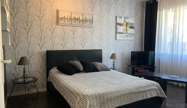 beautiful T1 30 m2, gated, near downtown, private parking. Wireless