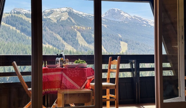 Beautiful T3 53m2 mountain view at the foot of the slopes in Villard de Lans