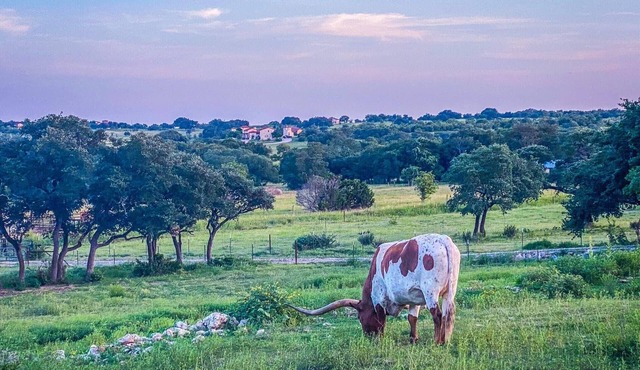 Beautiful Texas Hill country, amazing views, and farm living