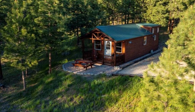 Beautiful Tiny Home in the Bitterroot - Views of Lolo Peak - Pet Friendly!