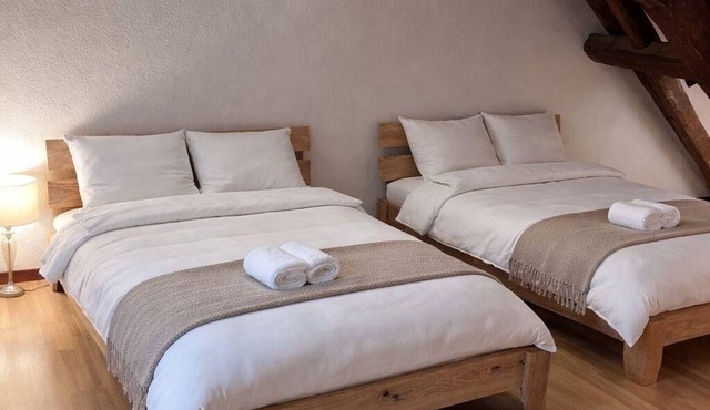 Beautiful Top Floor Apartment - Heart of Bern -4TH FLOOR NO LIFT