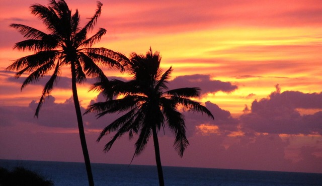 Beautiful top floor condo w/amazing view of Papohaku Beach