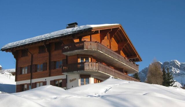 Beautiful, top floor, pet friendly, piste-side apartment with stunning views