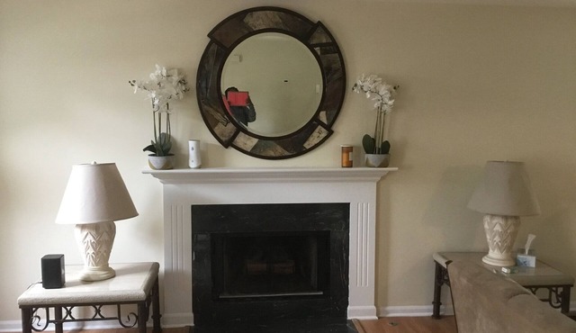 Beautiful townhome 45 mins from Chicago