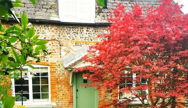 Beautiful, traditional rural cottage