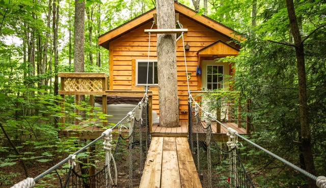 Beautiful tree house built amid Poplars, old White Oaks, and Red Maples.
