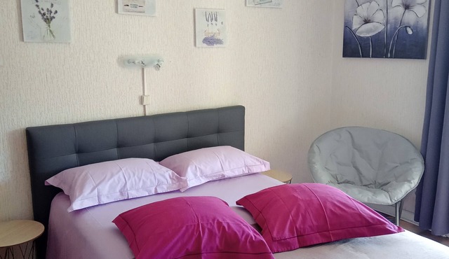 BEAUTIFUL TWO-STAR STUDIO FOR RENT