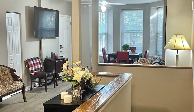 Beautiful Two Level Apt in DC