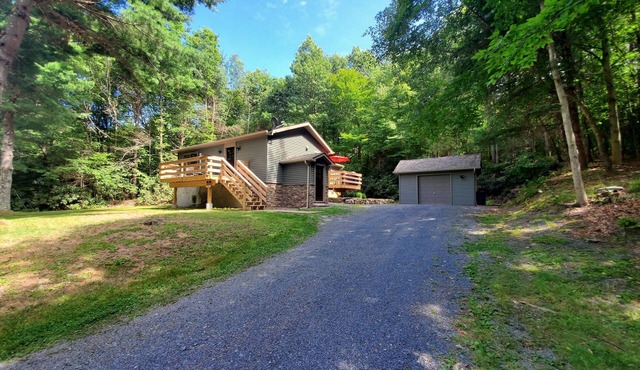 Beautiful, quiet place in the woods