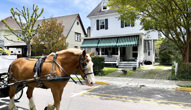 Beautiful Vacation Home, WALK to everything, pet friendly, historic district