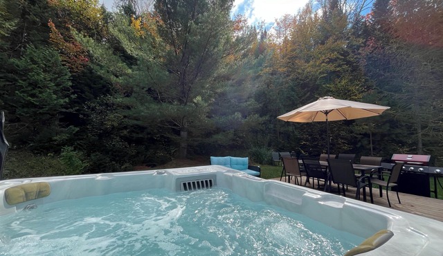 Beautiful view, hot tub, park, hiking , biking, privacy, pet friendly